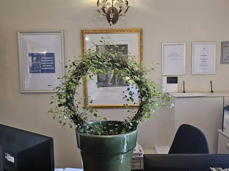 Hotelli Baruch Guesthouse On Lovell