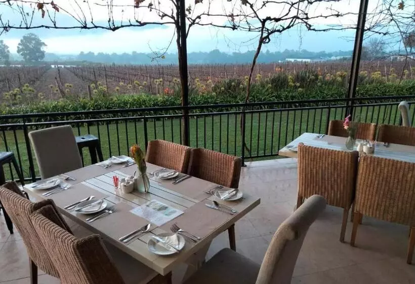 ホテル Cana Vineyard Guesthouse