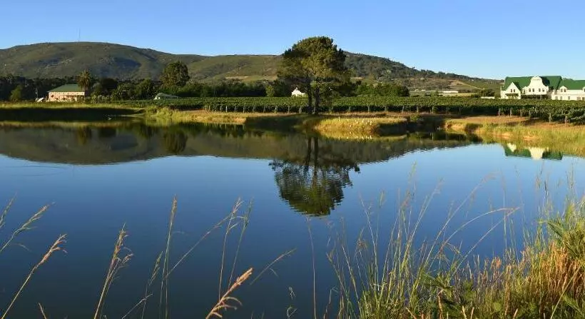 ホテル Cana Vineyard Guesthouse