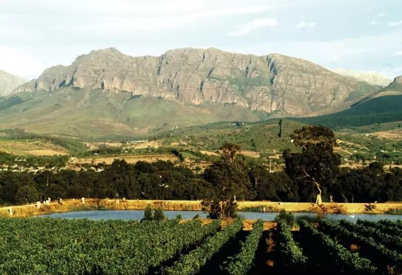 ホテル Cana Vineyard Guesthouse