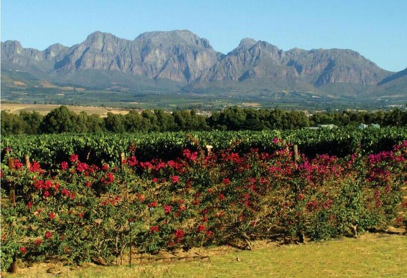 هتل Cana Vineyard Guesthouse