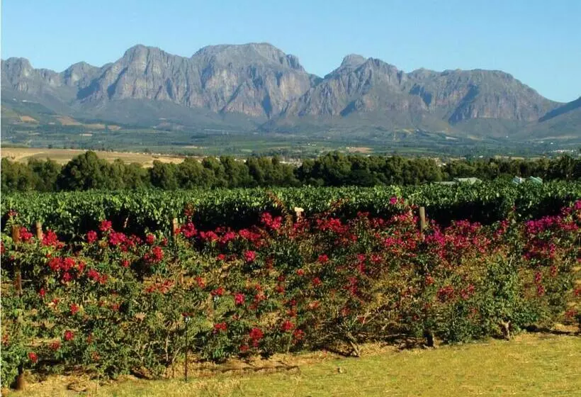 ホテル Cana Vineyard Guesthouse