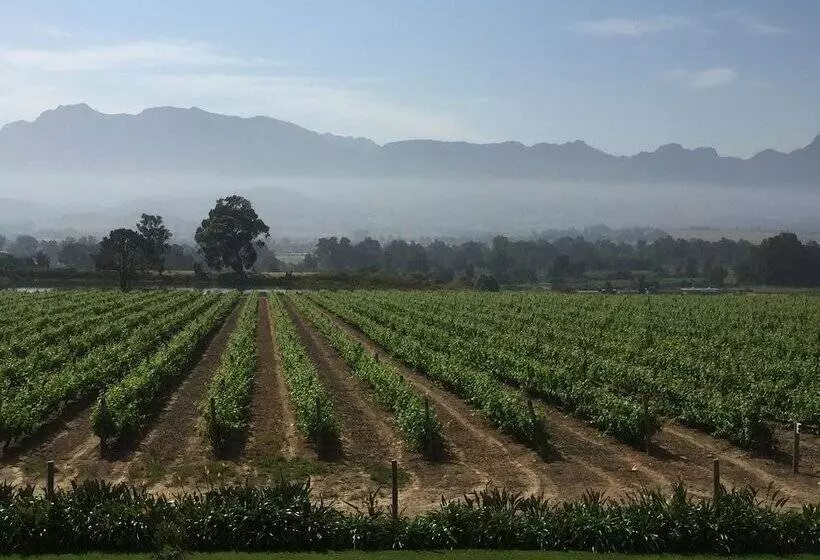 ホテル Cana Vineyard Guesthouse