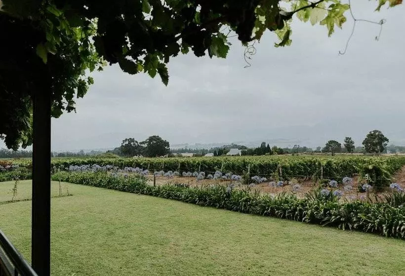 ホテル Cana Vineyard Guesthouse
