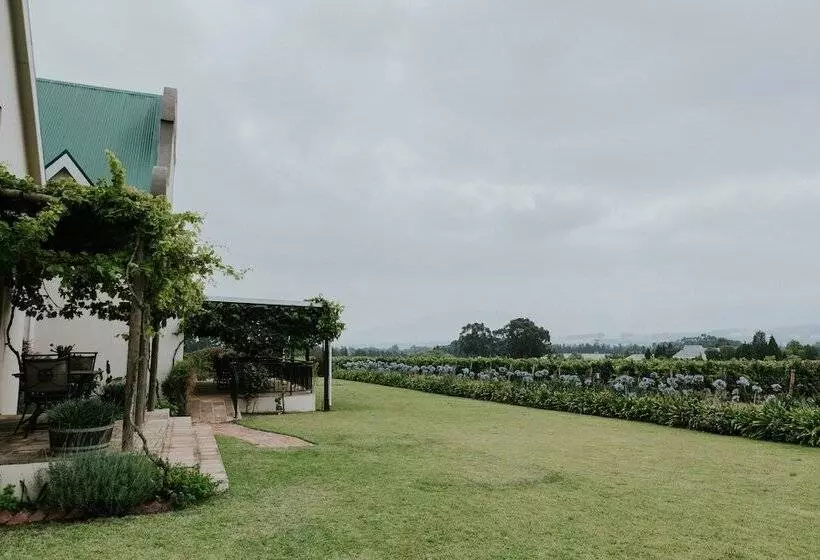ホテル Cana Vineyard Guesthouse