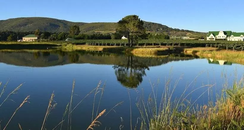 ホテル Cana Vineyard Guesthouse