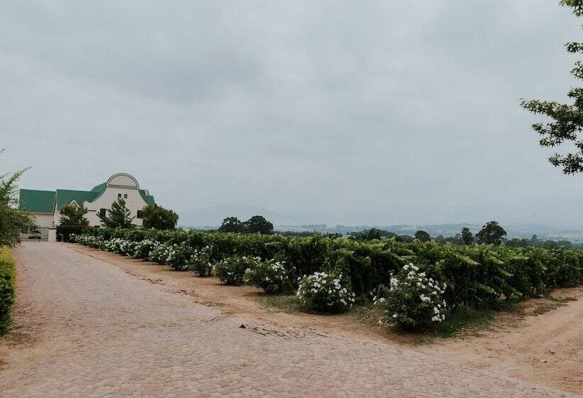 هتل Cana Vineyard Guesthouse