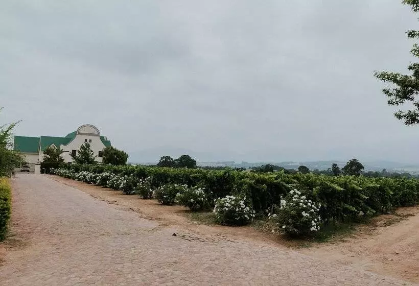 ホテル Cana Vineyard Guesthouse