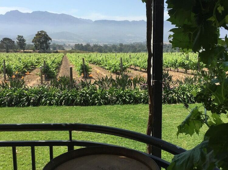 هتل Cana Vineyard Guesthouse