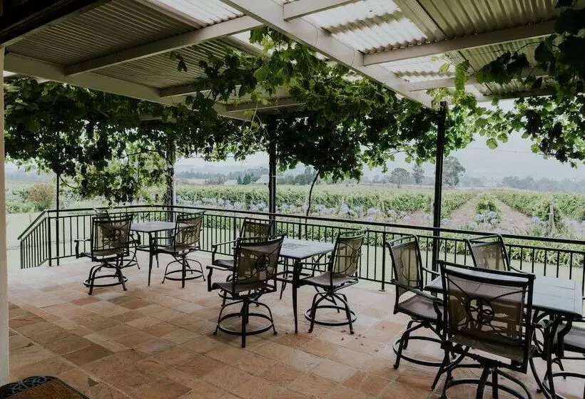 ホテル Cana Vineyard Guesthouse