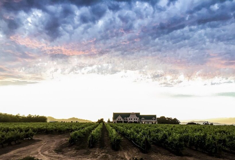 هتل Cana Vineyard Guesthouse