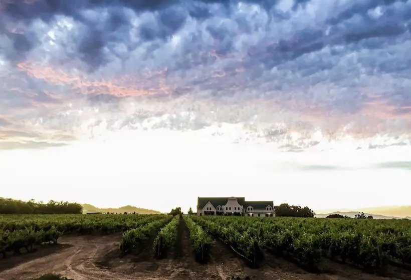 ホテル Cana Vineyard Guesthouse