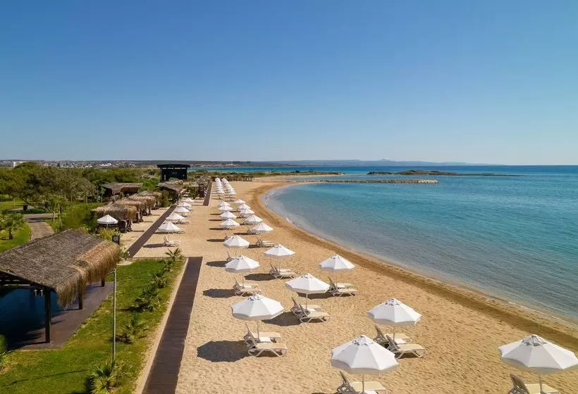 Concorde Luxury Resort & Casino