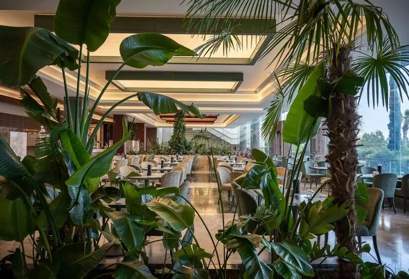 Concorde Luxury Resort & Casino