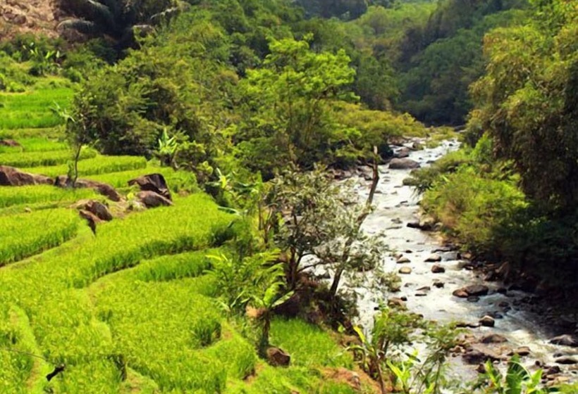 בית מלון כפרי Driam Riverside Resort