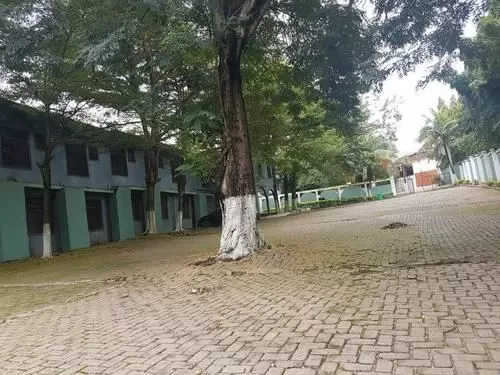 ホテル Frank David