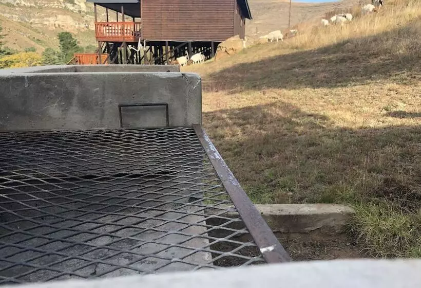 Hotelli Groenhoek Game And Guest Farms