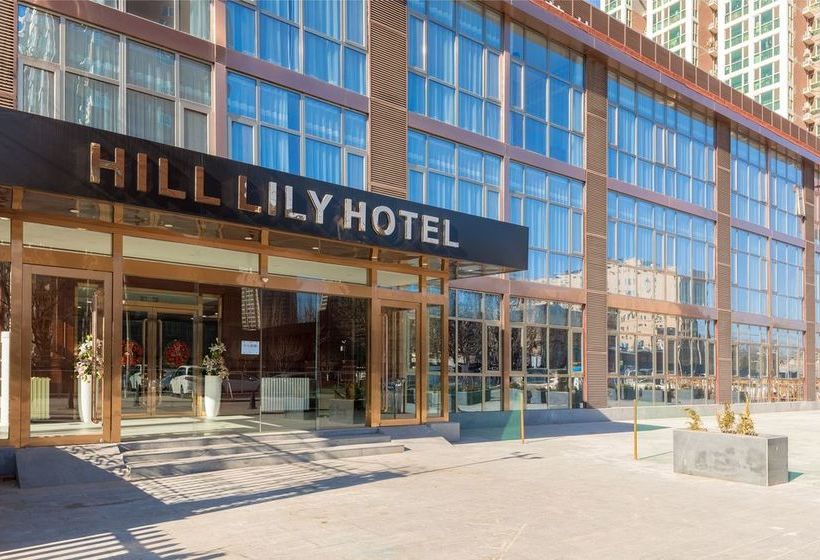 Hotel Hill Lily