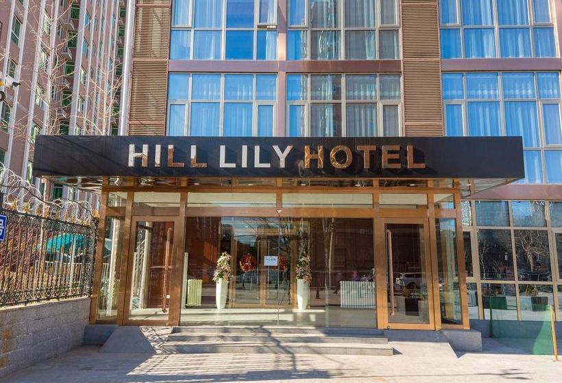 Hotel Hill Lily