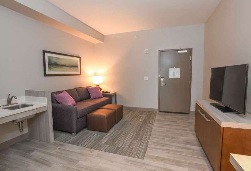 酒店 Hilton Garden Inn Cincinnati Midtown