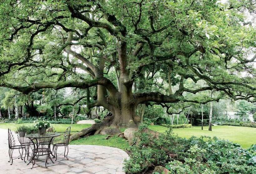 酒店 Hoeveld House