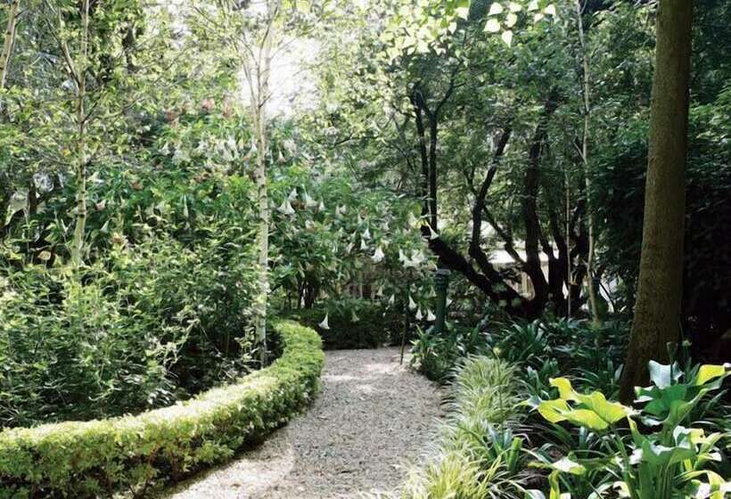 酒店 Hoeveld House