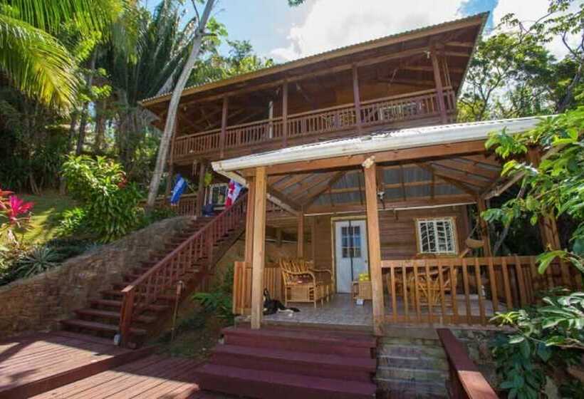 هتل Jungle Reef Inn