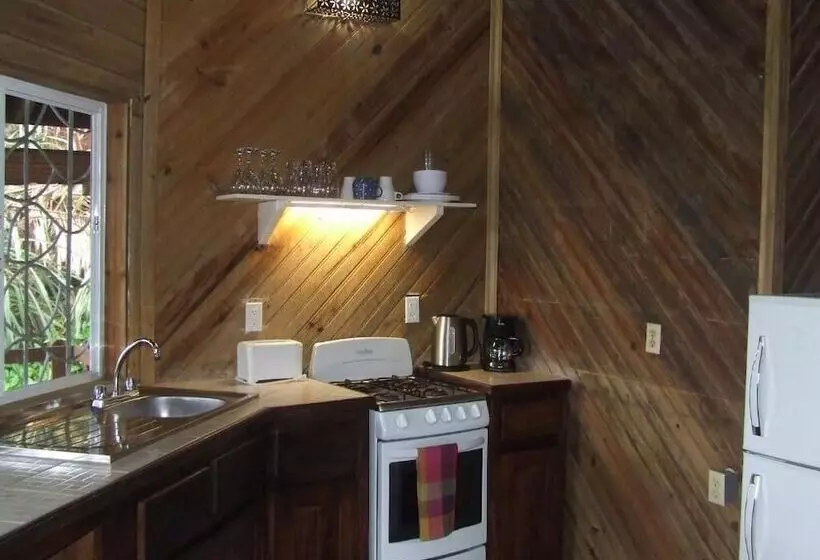 هتل Jungle Reef Inn