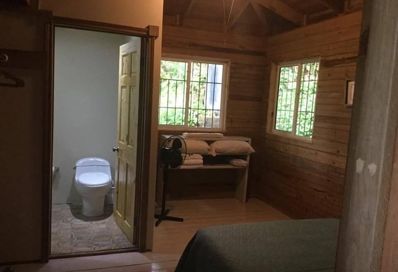 هتل Jungle Reef Inn