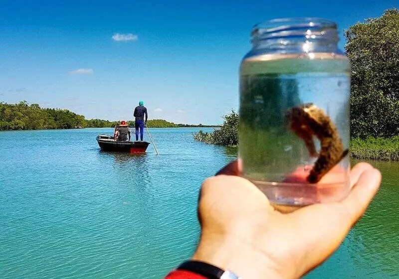 Mini Hotel Jericoacoara