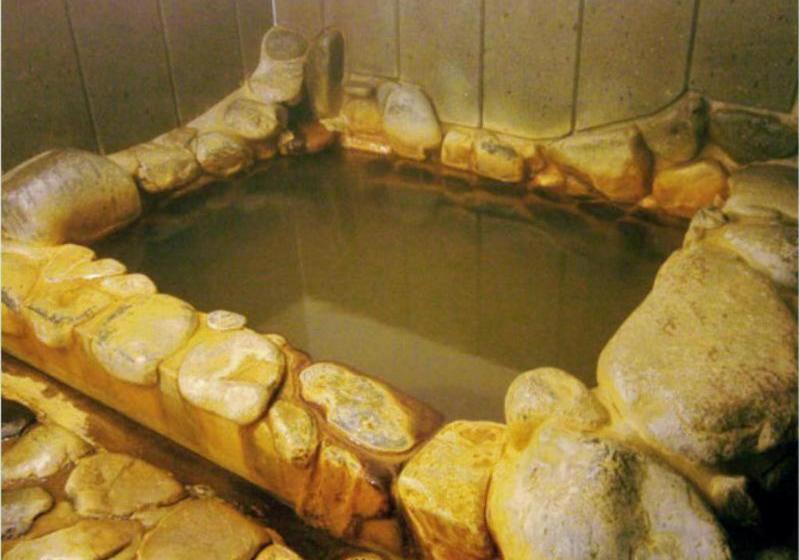 فندق Nogawaya Ryokan