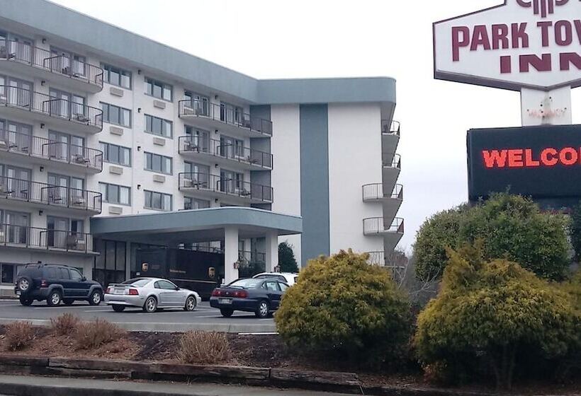 酒店 Park Tower Inn