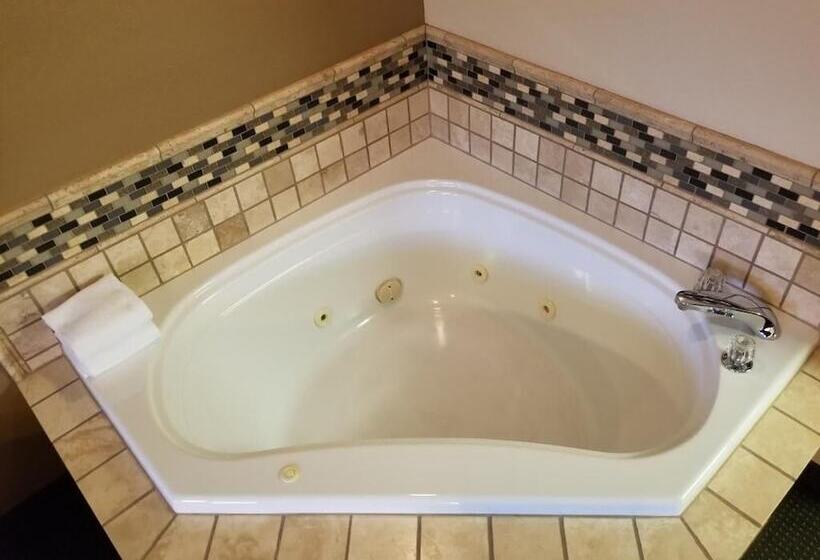 酒店 Park Tower Inn