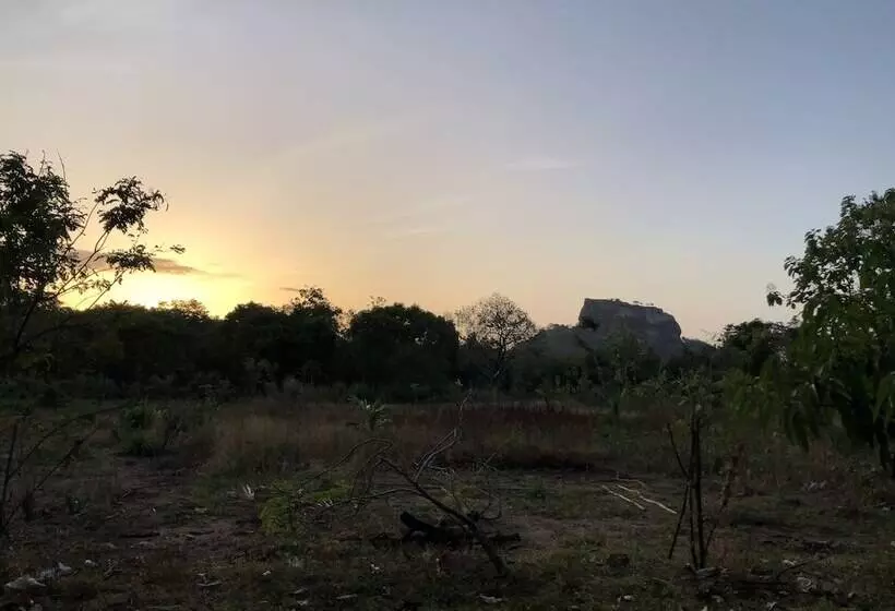 Hotel Sigiriya Rock Gate Resort