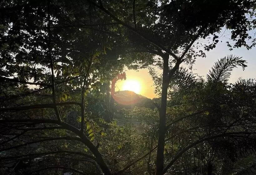 Hotel Sigiriya Rock Gate Resort