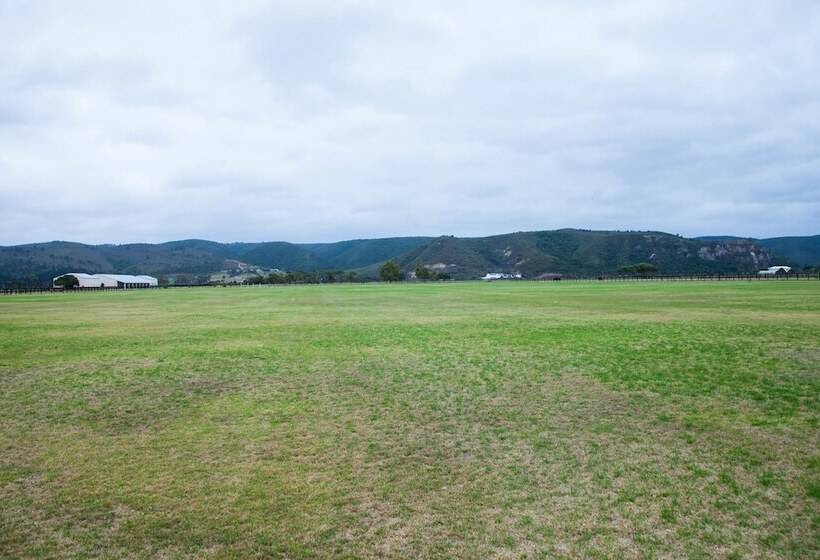 בית מלון כפרי Stonefield Polo Estate