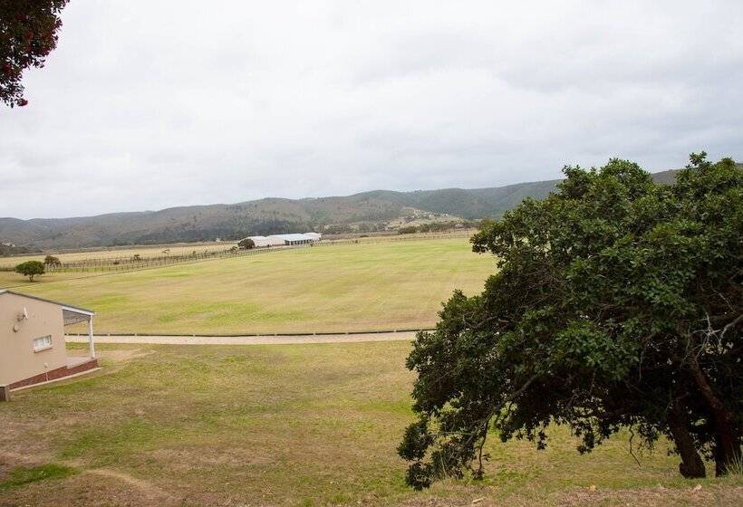 בית מלון כפרי Stonefield Polo Estate