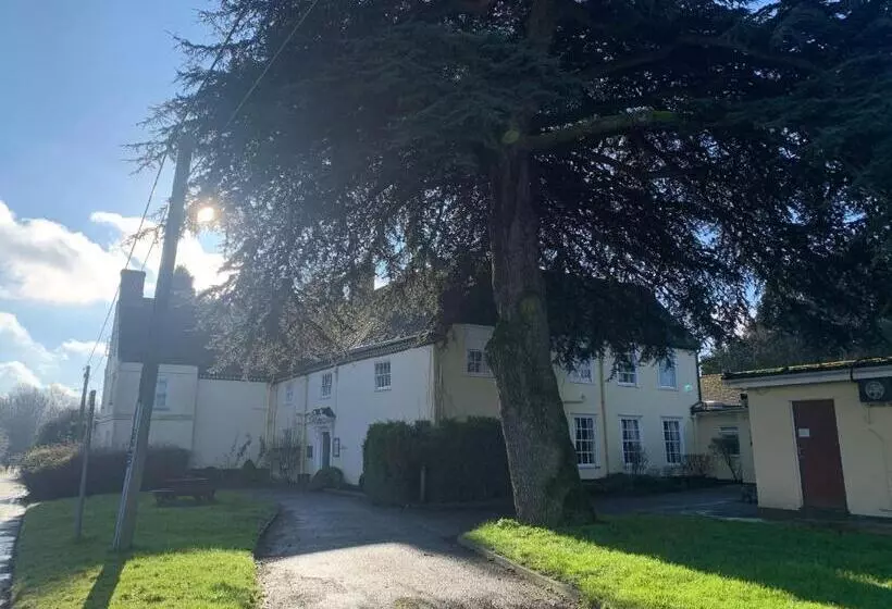 ホテル The Cedars