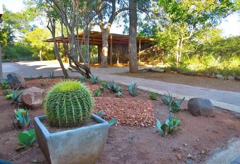 هتل Wild Dog Guest Lodge