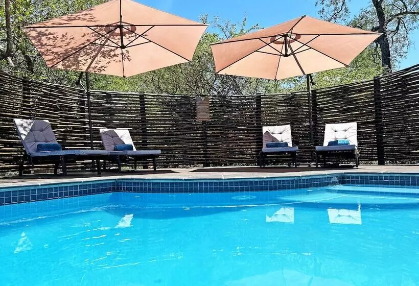 هتل Wild Dog Guest Lodge