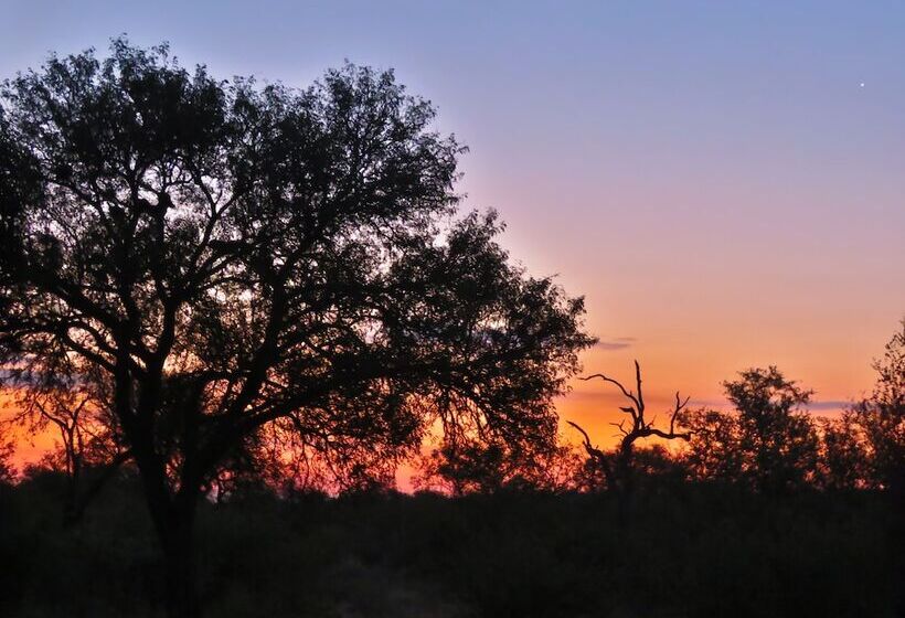 호텔 Wild Dog Guest Lodge