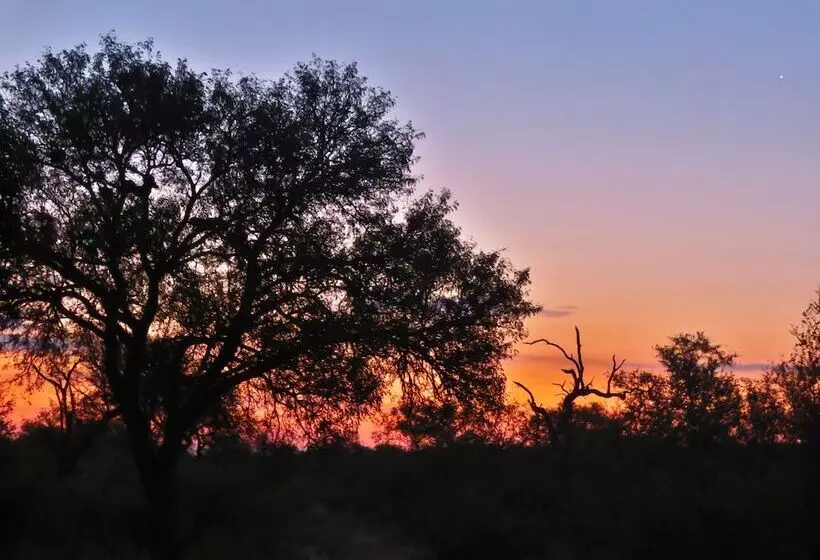هتل Wild Dog Guest Lodge
