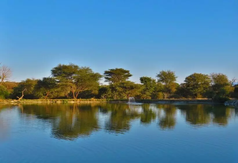 هتل Wild Dog Guest Lodge