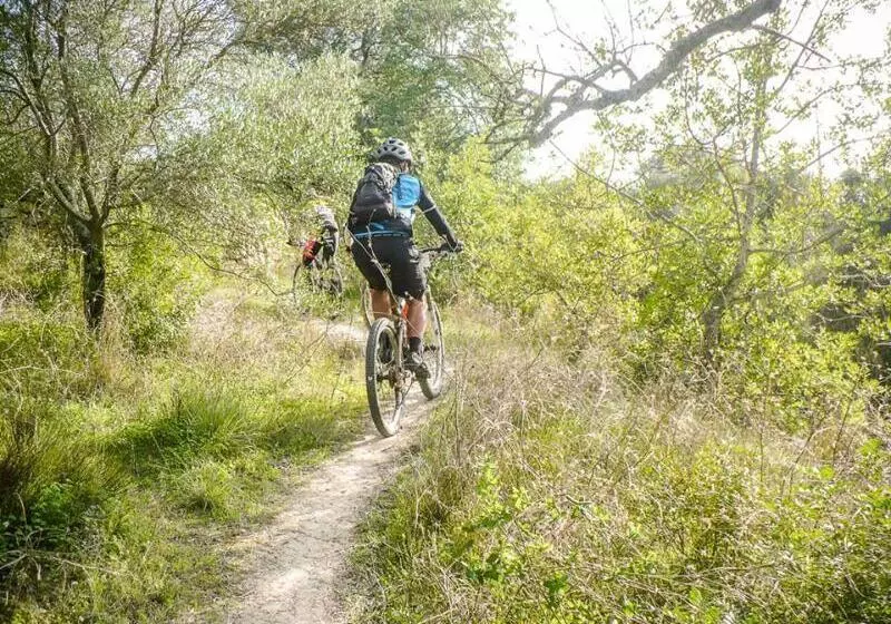 ペンション Guest House Boliqueime