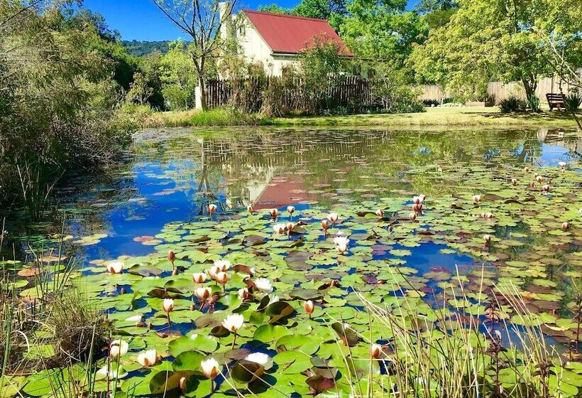 בית מלון כפרי Forest Edge