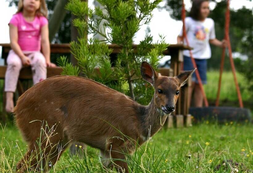 בית מלון כפרי Forest Edge