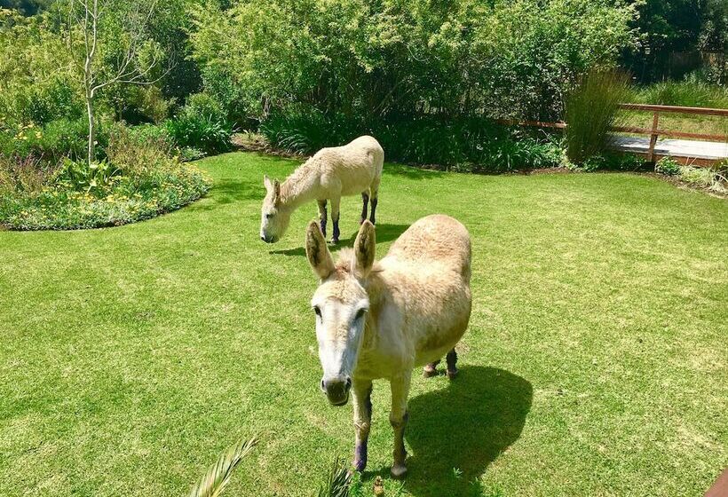 בית מלון כפרי Forest Edge