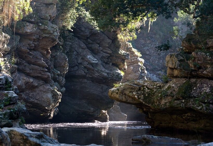 בית מלון כפרי Forest Edge