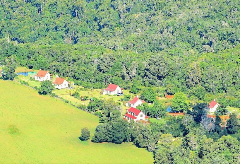 בית מלון כפרי Forest Edge