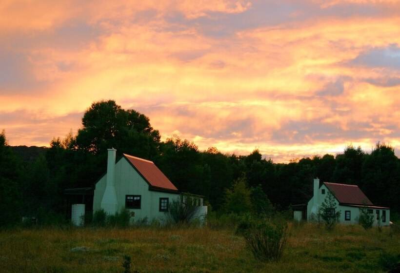 בית מלון כפרי Forest Edge